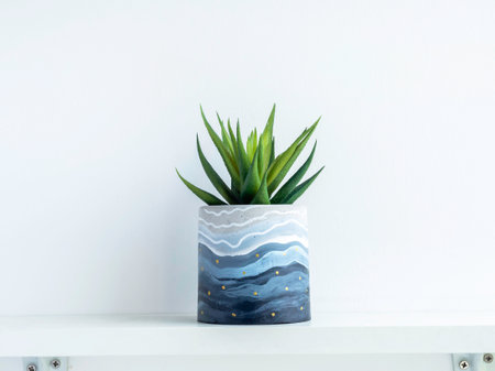 DIY round shape concrete pot with pattern painting with green succulent plant isolated on a white wooden shelf on white wall background. Unique color painted cement planter.の写真素材