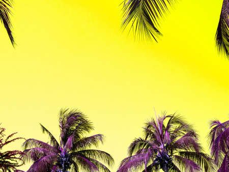 Colorful summer background with vibrant tropical palm tree with aesthetic yellow sky background....