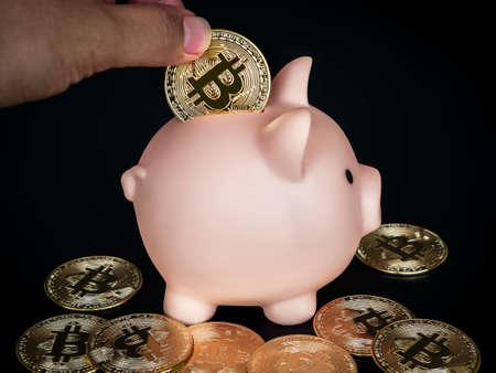 Bitcoin technology background. Golden bitcoin with the pink piggy bank and hand holding coin on dark...