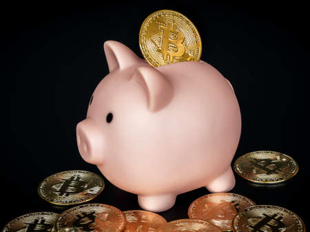 Bitcoin technology background. Golden bitcoin with the pink piggy bank on dark background. Digital wallet, benefit of cryptocurrency investment and saving concept.の写真素材