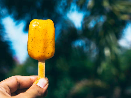 Yellow melt ice cream in hand on green tropical nature background, melting, summertimes with copy space. Female hand holding yellow frozen ice pop.の写真素材
