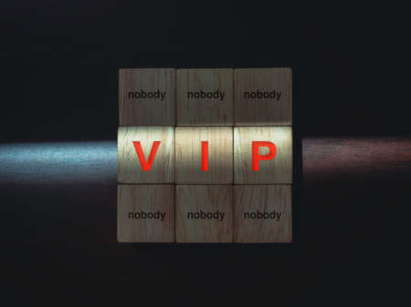 VIP and nobody, words on wooden blocks with the light on dark wood background. Privileges infringing on other people freedoms and civil liberties concept.の写真素材