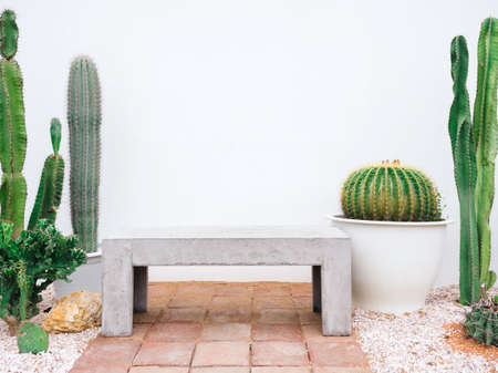 Various growing green cactus plant and concrete bench set in cactus garden on white background with...