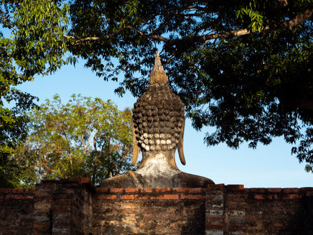 Back of ancient buddha statue head, outdoor stucco on tree and blue sky background at Sukhothai Historical Park, a UNESCO World Heritage Site in Thailand.のeditorial素材