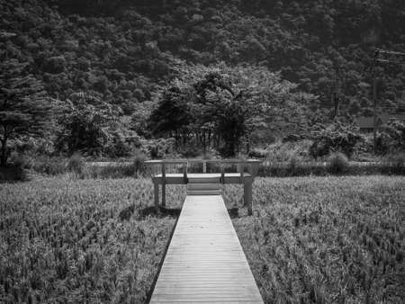Old empty white wooden bridge heading to the empty lonely balcony over the wheat field with mountain...