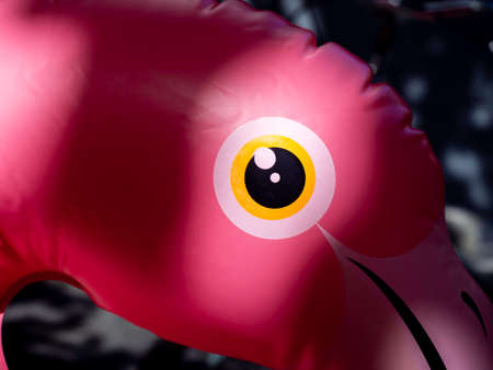 Close up at the eye of ink pool inflatable flamingo with light and shadow, minimal style. Inflatable...
