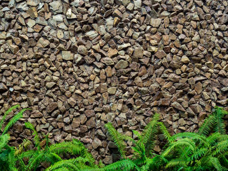 Strong wall decoration with many crack stones ornamented with fresh green fern leaves on below. Rock wall texture background.の写真素材