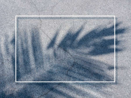 A minimalist white thin line makes a decorated square frame on the tropical palm leaves shadow on...