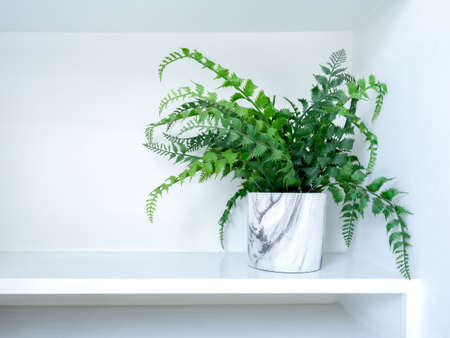 White modern ceramic plant pot with artificial plant with green leaves on white shelf with copy...