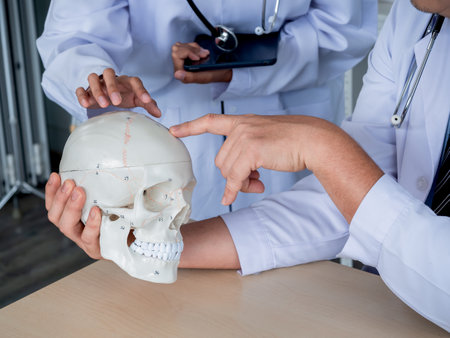 Two doctors in white uniforms talking, working together in medical office. Human skull model on desk in professional male doctor hand while provides knowledge and counseling to young female doctor.の写真素材