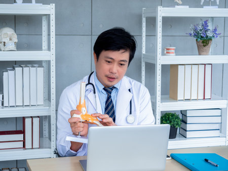 Close-up ankle joint foot skeleton anatomy model holding by orthopedic Asian doctor male with laptop computer, video conference with patient in medical office. Telemedicine with physician concept.の写真素材