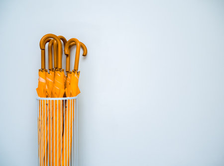 Many yellow umbrellas with wooden handle stored in white vintage steel umbrella storage isolated on white wall background with copy space.の写真素材