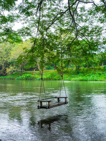 Empty old lonely wood swing hanging on the big tree over the large stream on the green forest background, relaxing place, vertical style. Hanging bench chair seat with the nature view.の写真素材