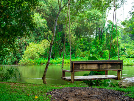 Back view of a empty alone wooden swing hanging on the big tree over the stream on the green forest background, relaxing place. Hanging bench chair seat with the nature view.の写真素材