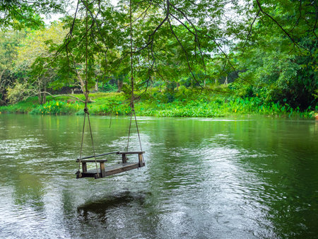 Empty old lonely wood swing hanging on the big tree over the large stream on the green forest background, relaxing place. Hanging bench chair seat with the nature view.の写真素材
