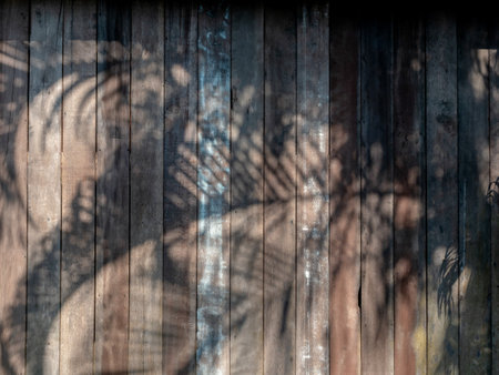 Old vintage wooden plank wall background with summer natural tree shadow. Rustic wood panel wall shaded by tropical palm leaves. Palm leaves shadows on a grunge wooden surface.の写真素材