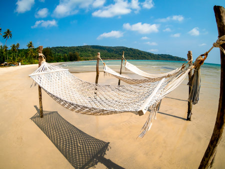 Three empty rope cradle hanging on the wooden poles on sandy beach on the sea, island and blue sky background, fisheye view. Relaxing hanging cradle or swing beds on sunshine day with no people.の写真素材