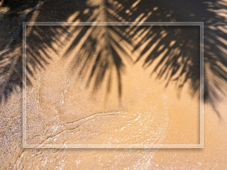 White line frame on calm beach scene, movement of clear sea water and soft wave and shadows of the coconut palm tree leaves lie on clean sandy beach on sunny day. Summer vacation holiday background.の写真素材