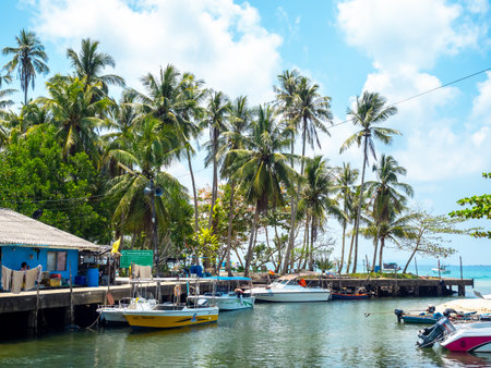 Ao Yai fisherman village scene with boats in water, natural in Koh Kood island, a enduring holiday location for nature and outdoor travel in Thailand.のeditorial素材