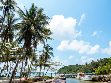 Ao Yai fisherman village scene with boats, port and palm tree in Koh Kood island, a enduring holiday location for nature and outdoor travel in Thailand.のeditorial素材