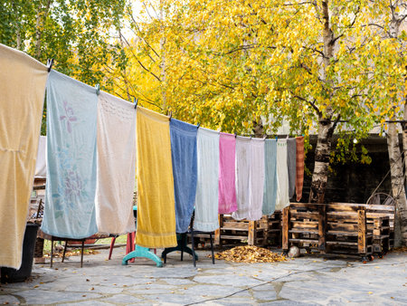 Many colorful towels hanging laundry on washing line at the outdoor backyard in autumn season....