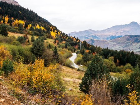 Beautiful autumn background with the road between green, yellow colors of trees forest on mountain with blue sky and cloud. Beautiful autumn season, nature landscape scenery in october in Georgia.の写真素材