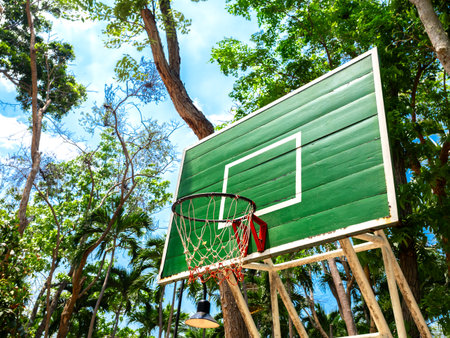 View from below angle of basketball hoop made by old green wooden plank with net surrounded with...