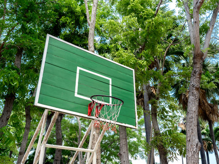 Old empty basketball hoop made by green wood panels with net in the outdoor garden with tall trees...