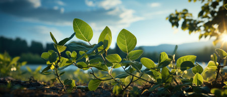 Nature beauty concept with a closeup of a green branch and a scenic view of the mountains and the sky - generated by AIの素材