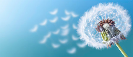 Close up of dandelion on the blue background. generated by aiの素材
