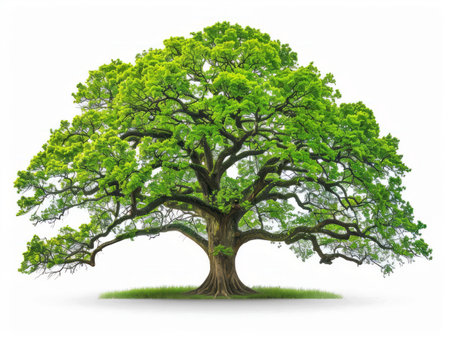 A sizable green tree with an extensive canopy, featuring an abundance of lush leaves creating a thick foliage. The tree stands tall and prominent against the sky.の素材