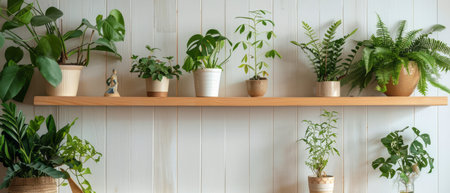 The shelf is overflowing with a diverse collection of plants, showing an array of colors, shapes, and sizes. Different species of succulents, ferns, cacti, and flowering plants are neatly arranged, creating a vibrant and lush display.の素材