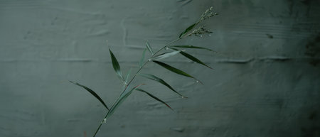 A close-up view of a bamboo plant, its glossy green leaves adorned with numerous water droplets. The droplets shimmer in the light, reflecting the surrounding environment.の素材