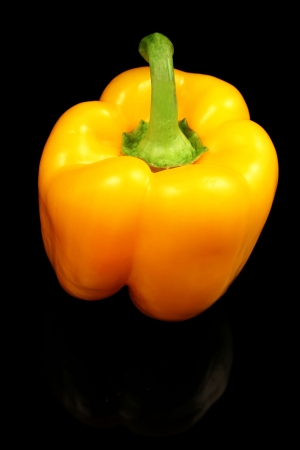 Pepper on a black backgroundの写真素材