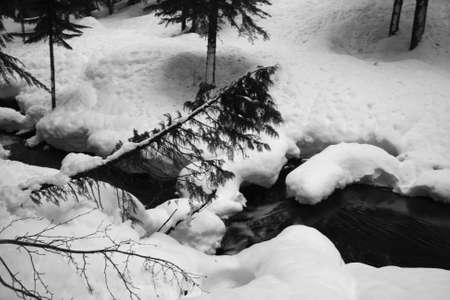 Winter Creek Sceneの写真素材