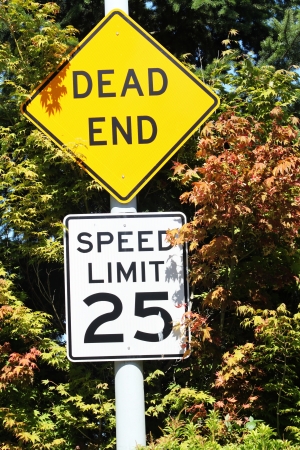 Dead End And Speed Sign
