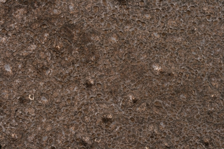 Black Alligatior Skin Stone Backgroundの写真素材