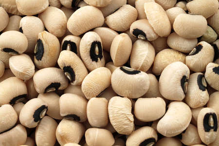 Black Eyed Peas Macro