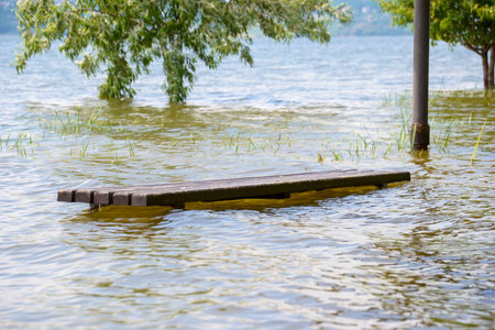 Flooded area with a wooden bench partially underwater near surrounding treesの写真素材