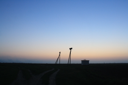 Field and storks in the nest at nightの写真素材