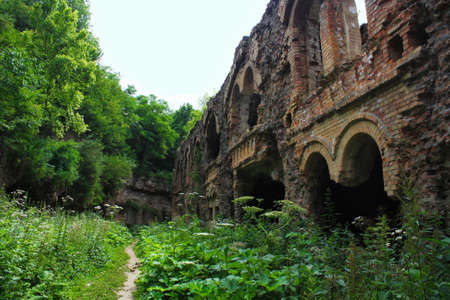 The ruins of the old fort and treesの写真素材