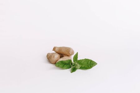 ginger on white background. depth of field
