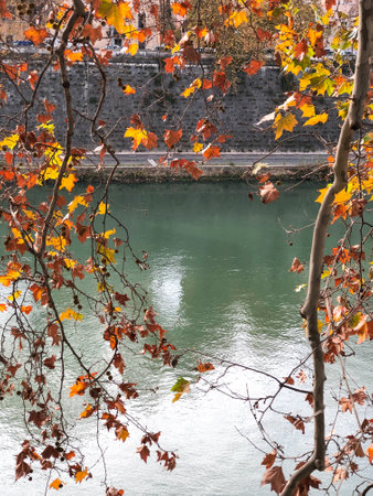 Yellow and red leaves on branches hanging over the turquoise water surface of the river, forming a frameの写真素材