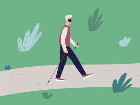 Elderly fit man is engaged in Nordic walking with sticks on path in the park. Old athletic man walk on foot in the open air adhering to healthy lifestyle. Vector illustrationのイラスト素材