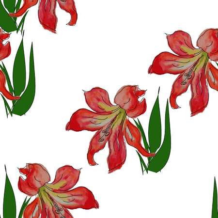 Seamless watercolor pattern of hand drawn hippeastrum flowers. Amaryllisのイラスト素材