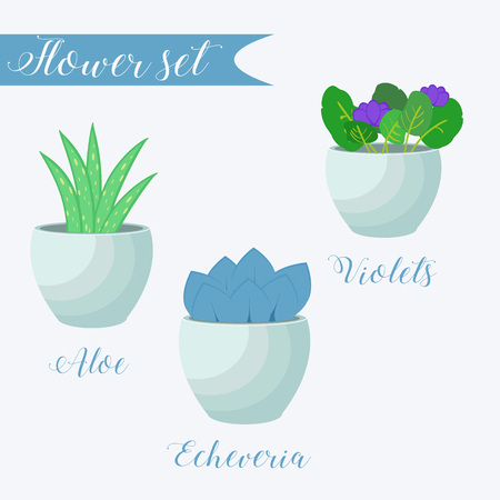 Vector set of potted flowers. Aloe, Echeveria, Violets.のイラスト素材