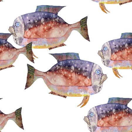 Hand drawn watercolor aquarium fish on white background.の写真素材