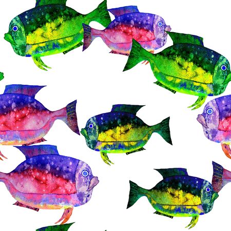 Hand drawn watercolor aquarium fish on white background.の写真素材