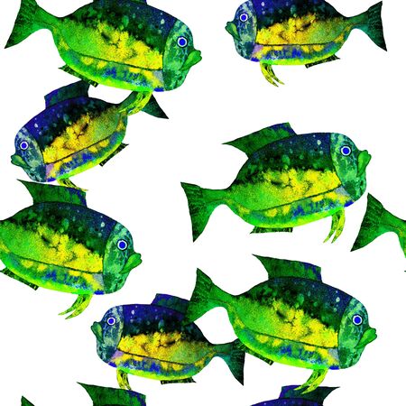 Hand drawn watercolor aquarium fish on white background.の写真素材