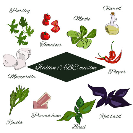 Italian ABC cuisine. Spices annd herbs and basic products of Italian cuisine.のイラスト素材